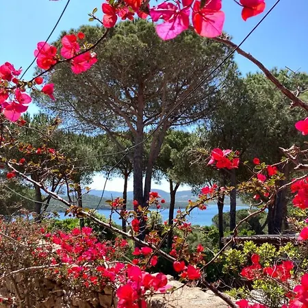 Conca Апартаменты *