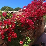 Conca Conca Verde (Sassari)